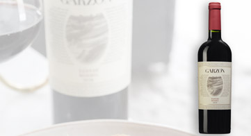 Garzón Reserva Tannat