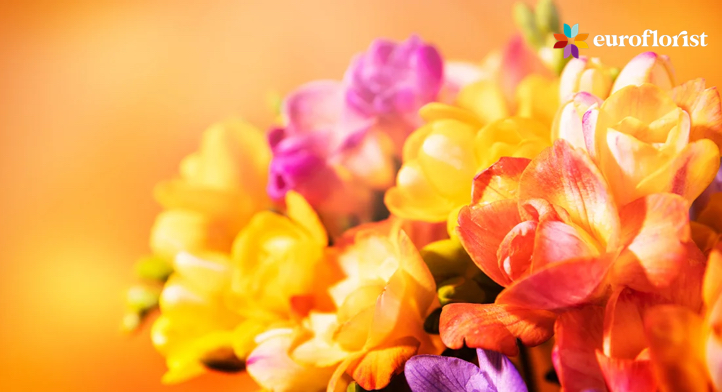 10% rabatt hos Euroflorist!