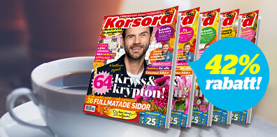 Korsord – 5 nr för 95 kr